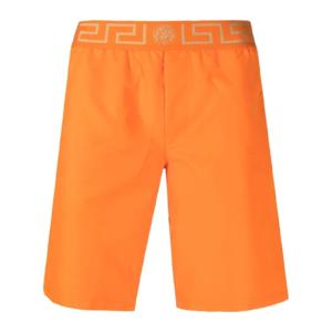 25 SS 베르사체 그레카 보더 스윔 쇼츠 ABU01023A232415 TP435115946