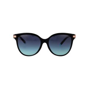 티파니앤코 선글라스 0TF4193B 80019S black