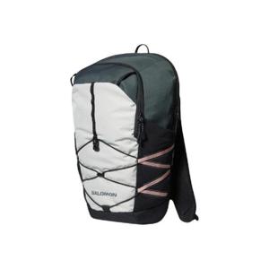 살로몬 퀵레이스 LT 백팩 라이트 그레이 LC2414900/LC2720700