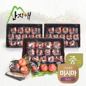 산지애 블랙라벨 사과 9kg (3kg*3박스, 총 39~42과)
