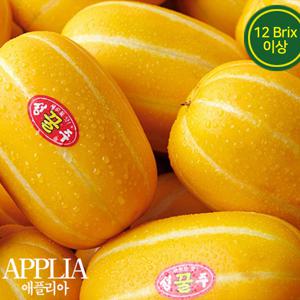 [ 애플리아 ] 25년 햇참외 아삭달콤 성주참외 과일선물 2kg(6∼9과 / 12Brix)