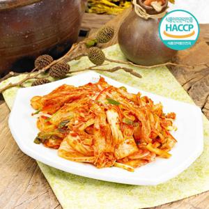 당일제조 국내산 전라도 겉절이 3kg