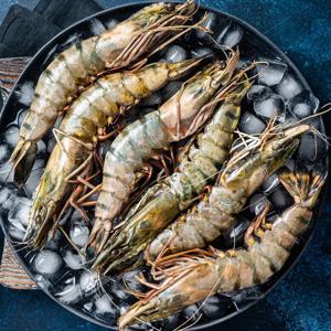[이푸른] 블랙타이거 새우 500g(10미) x 2팩 / 특대사이즈