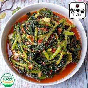 갤러리아_[함평골김치] 감칠맛이 풍부한 전라도 열무김치 5kg