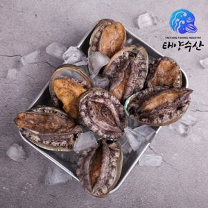 완도활전복 대사이즈 25미(마리당 65g~80g내외) 총 1.62kg이상