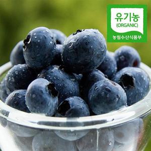 [유기농] 당일수확 충남직송 생 블루베리 1kg(중과,14-16mm)