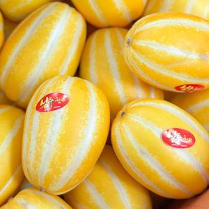 제철진미 달콤 아삭 성주 참외 소과 2kg (12-15과)