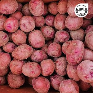 [농부마음]남해 하우스 햇 홍감자 왕특 3kg(10개 내외)