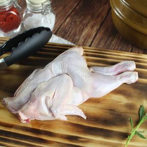[냉동] 삼계탕용 삼계닭 300g 5마리