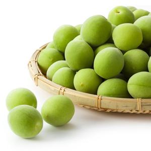 [더조은] 25년 순천 청매실 10kg 왕왕특
