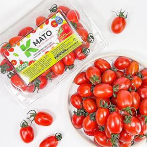 스테비아 대추방울토마토 2kg(500gX4팩)