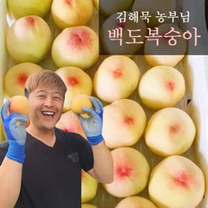 [6월 25일부터 순차출고]산지직송 예천복숭아 백도 2.5kg(14과내, 중과)
