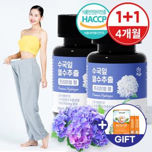 [건강머금] 수국잎 열수 추출물 수국 국내산 프리미엄 60정 1+1병(4개월분) +비타씨