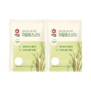 [CJ]백설 하얀자일로스설탕 2kg x2개