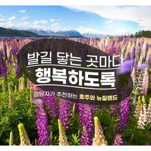 [대한항공] 호주/뉴질랜드 완전정복 10일/12일 vs 뉴질랜드 9일
