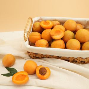 [자연품애] 새콤달콤 살구 2kg 중과 (6/4출고)