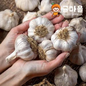 귤마을 국내산 황토밭 통마늘 3kg내외 특-대