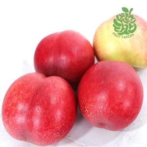 [후루츠타잔]달콤아삭 신비복숭아 2kg 대과 /13-16과//개당130g내외