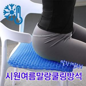 [HIT상품]쿨젤 실리콘 벌집방석 체중분산 허리 골반 힙 충격흡수