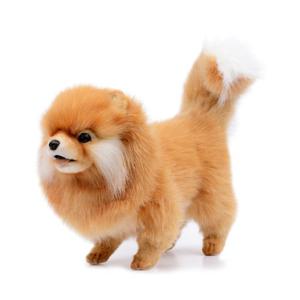 [한사토이] 7018 포메라니안 강아지 동물인형/28cm. H