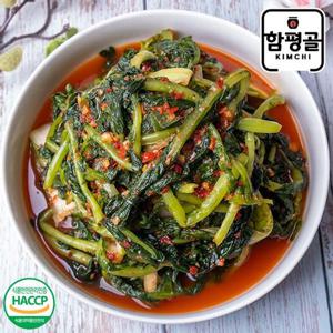 [함평골김치] 감칠맛이 풍부한 전라도 열무김치 2kg