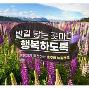 [홈쇼핑 따라잡기] [대한항공]호주/뉴질랜드 완벽일주