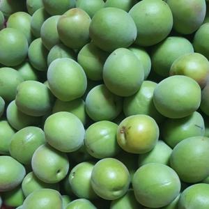 (예약주문 6/08~순차출고) 순천 매실 청매실 대 10kg (28-23mm) 산지직송 매실장아찌 피클 매실청 매실액