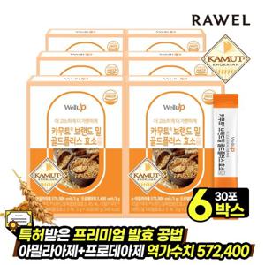 로엘 골드 카무트 효소 브랜드밀 플러스 누룽지맛 6박스, (3g x 180포)