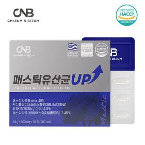 채움앤비움 매스틱 유산균 UP 1박스 45일분