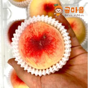 귤마을 대극천 복숭아 중소과 300g 내외 (300g x 1팩)