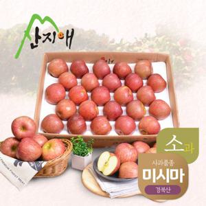 산지애 알뜰 못난이사과(소과) 4.5kg 1box