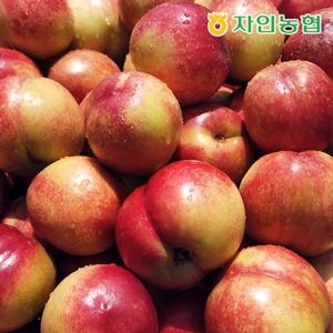 [자인농협] 경산 신비복숭아 3kg (750gX4팩)