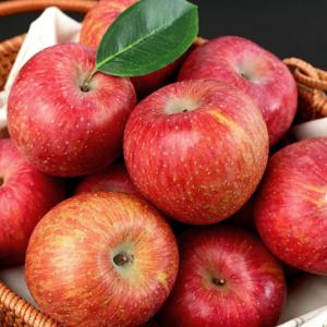 경북 꿀사과 정품 2kg (중소과/8-10과)
