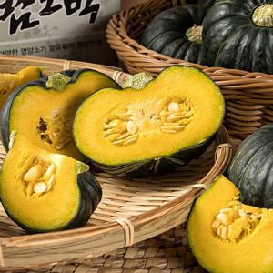 [자연품애 밤호박] 해남 미니밤호박 4kg(8-12과)