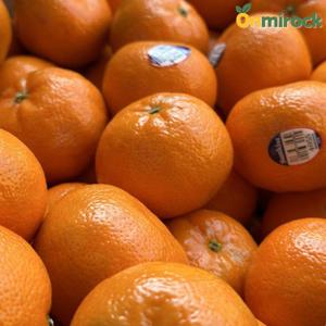 온미락 만다린 귤 오렌지 2kg 고당도 미국 감귤