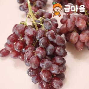 귤마을 씨없는 고당도 크림슨 적포도 3kg