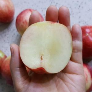 고당도 아삭 신비복숭아 1kg 중과