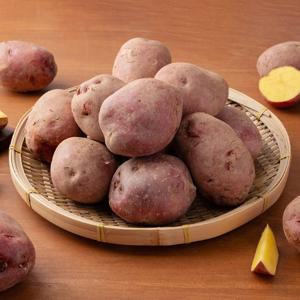 [신선하랑] 포슬포슬 국내산 카스테라 홍감자 3kg 대