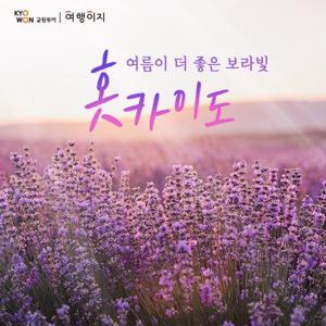 [힐튼호텔에서 온천과 무제한 게 뷔페까지] 여름에 더 좋은 북해도의 모든 것 4일