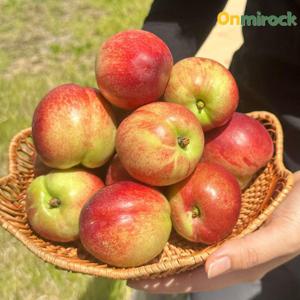 온미락 경북 경산 특품 신비복숭아 대과 2kg(14-17과) 정품 타이백재배