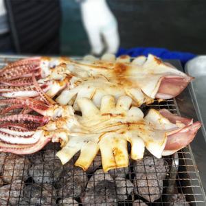 국내산 피데기 반건조 오징어 중 10미 950g내외
