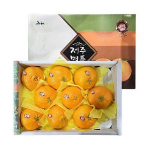 갤러리아_[농협공판장] 새벽 경매 농산물 도매시장 선별된 제주 레드향(