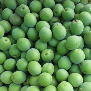 (예약주문 6/08~순차출고) 순천 매실 청매실 대 5kg (28-23mm) 산지직송 매실장아찌 피클 매실청 매실액