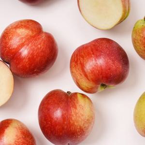 [과일꾼] 고당도 신비복숭아 중과(로얄과) 1kg 8-11과