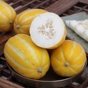 [산지직송] 고당도 성주참외 3kg (중과/10-15과내외)
