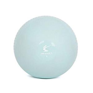 [아이워너]소프트토닝볼 1kg 2개 1세트