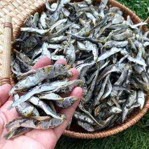 남해안 햇 건 솔치 청어(정어리) 멸치 상급 1kg (볶음 조림 육수용)