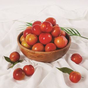 [농부마음]대석자두 햇자두 4.5kg 소과 150-200과내외