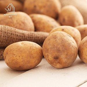 갤러리아_[웰굿] 국내산 포슬한 개진감자 5kg(중,개당50g이하)