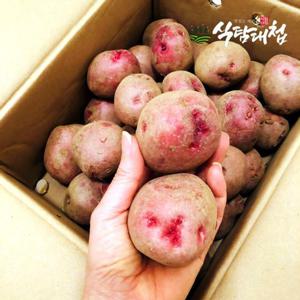 갤러리아_식탐대첩 국내산 포슬포슬 속이노란 홍감자 5kg 특대